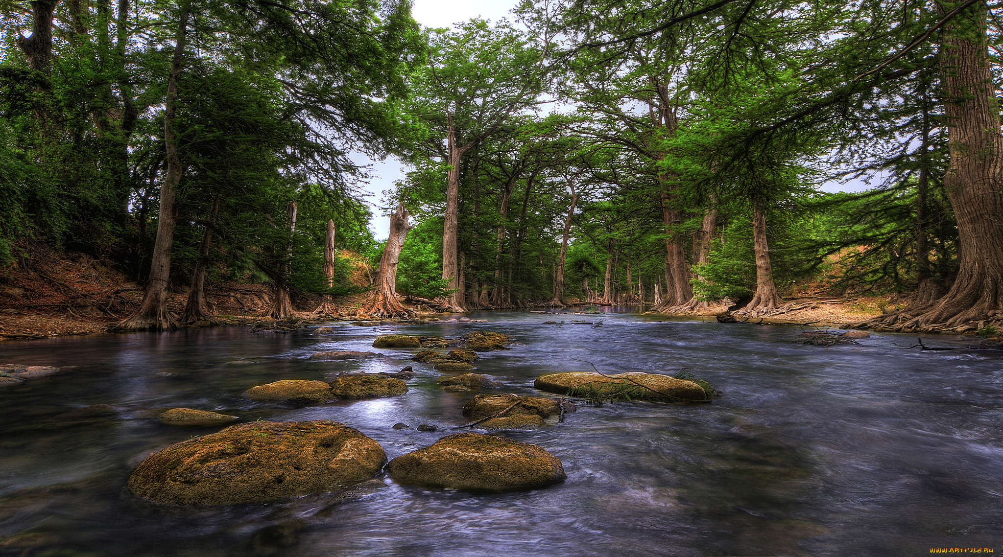 The country many rivers. Штат Техас природа. Озеро Джейкоба Техас. Штат Техас леса. Техас природа фото.